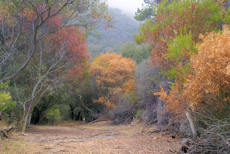 The floor of Upper Rustic Canyon